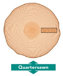 Quarter Sawn GajaPartner
